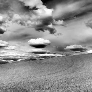 Infrared Print of Palouse Hills Infrared Print of Palouse Hills