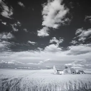 Infrared Print of Palouse Homestead with Unique Clouds Infrared Print of Palouse Homestead with Unique Clouds