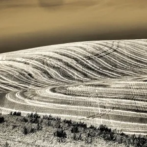 USA, Washington State, Palouse. Infrared of field patterns USA, Washington State, Palouse. Infrared of field patterns