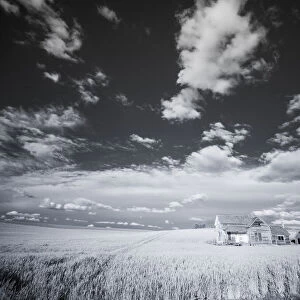 USA, Washington State, Palouse. Infrared of old homestead with special clouds