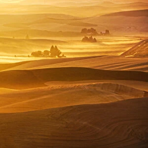 USA, Washington State, Palouse Region. Sunset over rolling hills with dust in the air