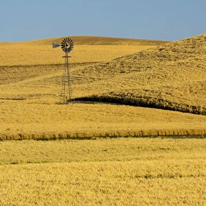 USA, Washington State, Palouse Region. Windmill in fields during harvest