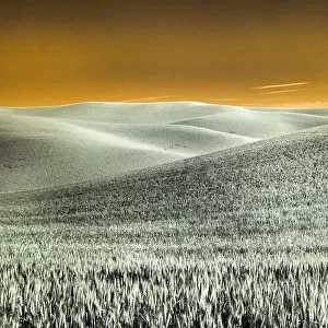 USA, Washington State, Palouse region, Rolling Hills of wheat