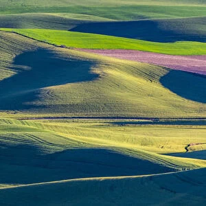 USA, Washington State, Palouse and Steptoe Butte State Park view of Wheat and Canola