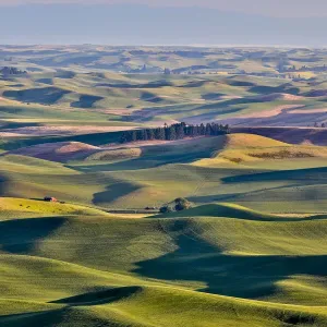 USA, Washington State, Palouse. View from Steptoe Butte