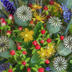 USA, Washington State, Seabeck. Colorful flower arrangement