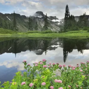 Table Mountain Reflection Print, Heather Meadows USA
