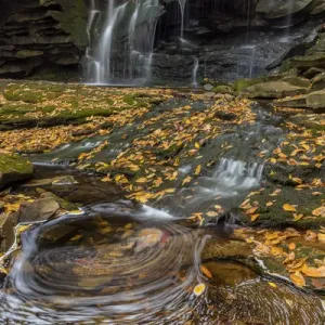 Blackwater Falls State Park Print, West Virginia Waterfall Blackwater Falls State Park Print, West Virginia Waterfall