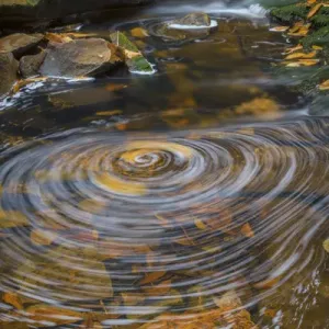 USA, West Virginia, Blackwater Falls State Park USA, West Virginia, Blackwater Falls State Park