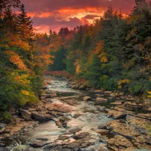 USA, West Virginia, Blackwater Falls State Park. Forest and stream in autumn. Credit as USA, West Virginia, Blackwater Falls State Park. Forest and stream in autumn. Credit as