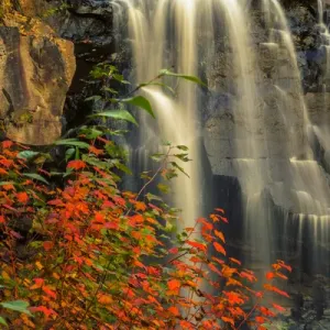 USA, West Virginia, Blackwater Falls State Park USA, West Virginia, Blackwater Falls State Park