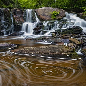 USA, West Virginia, Blackwater Falls State Park. Stream cascade and pool eddy. Credit as