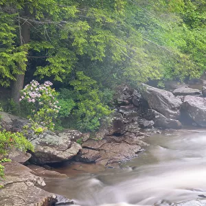 USA, West Virginia, Blackwater Falls State Park. Blackwater River rapids