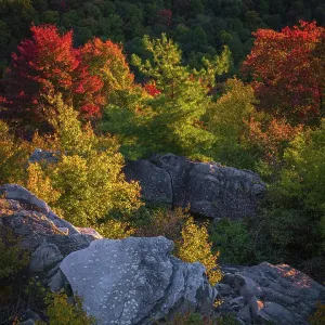 USA, West Virginia, Blackwater Falls State Park. Sunset on mountain overlook