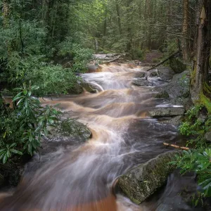 USA, West Virginia, Blackwater Falls State Park. Rapids on Blackwater River