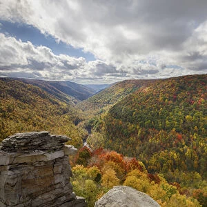 USA, West Virginia. Canaan Valley. Blackwater Canyon as seen from Lindy Point in