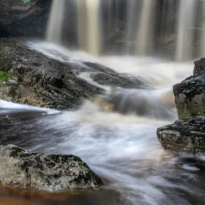 USA, West Virginia, Canaan Valley State Park. Blackwater River waterfall and rapids