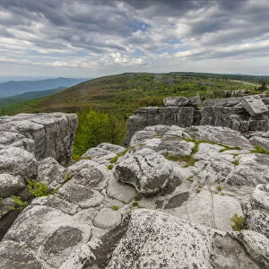 USA, West Virginia, Davis. Landscape in Dolly Sods Wilderness Area