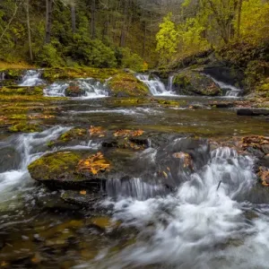 USA, West Virginia, Delaware Watergap Recreational Area. Landscape of Dingmans Falls cascades USA, West Virginia, Delaware Watergap Recreational Area. Landscape of Dingmans Falls cascades