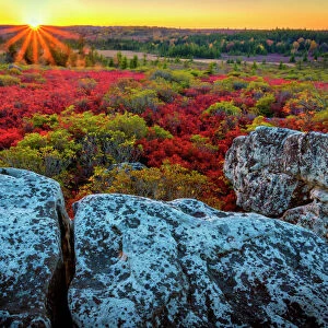 USA, West Virginia, Dolly Sods Wilderness Area. Sunset on tundra and rocks. Credit as