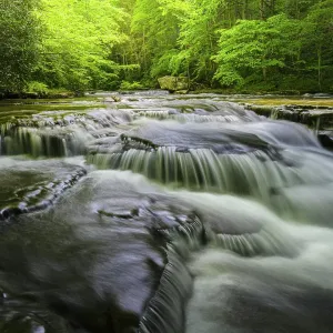 USA, West Virginia, New River Gorge National Park. Landscape with creek waterfall cascades. ©Jay O'Brien / Jaynes Gallery / DanitaDelimont.com USA, West Virginia, New River Gorge National Park. Landscape with creek waterfall cascades. ©Jay O'Brien / Jaynes Gallery / DanitaDelimont.com