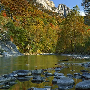 USA, West Virginia, Spruce Knob-Seneca Rocks National Recreation Area, Monongahela National Forest