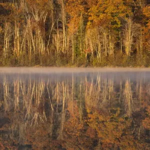 USA, Wisconsin. A cold morning on a Mill pond Lake in Autumn USA, Wisconsin. A cold morning on a Mill pond Lake in Autumn