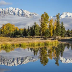 USA, Wyoming. Grand Teton National Park, Schwabacher Landing, Mt USA, Wyoming. Grand Teton National Park, Schwabacher Landing, Mt