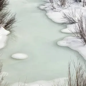 USA, Wyoming, Grand Teton National Park, Jackson. Ice and willows on Pacific Creek USA, Wyoming, Grand Teton National Park, Jackson. Ice and willows on Pacific Creek
