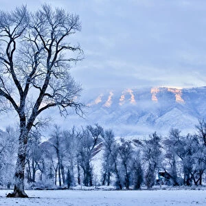 USA, Wyoming, Shell, Hoar Frost in the Valley, PR
