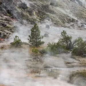 USA, Wyoming. Along the trail, Artists Paintpots, Yellowstone National Park