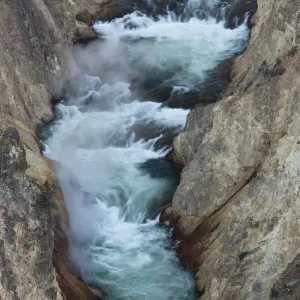 USA, Wyoming. Yellowstone River, Grand Canyon of the Yellowstone