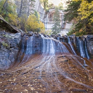 UT, Zion National Park, Waterfall, Left Fork of North Creek