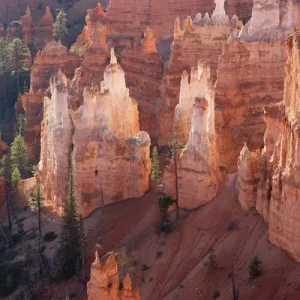 Utah, Bryce Canyon National Park, Bryce Canyon and Hoodoos