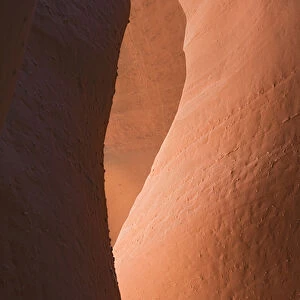 Utah, Grand Staircase Escalante NM, Spooky Gulch, Slot canyon of Dry Fork Coyote Gulch
