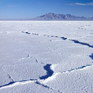Utah. USA. Pressure ridges in salt crust. Bonneville Salt Flats. Silver Island Mountains