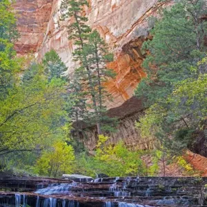 Utah, Zion National Park, water cascading through Left Fork of North Creek