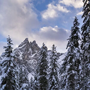 Valley Fischleintal (Val Fiscalina) in the nature park sexten dolomites in deep winter