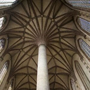 Vaulted ceiling of Les Jacobins church, Toulouse, Haute Garonne, Midi Pyrenees, France