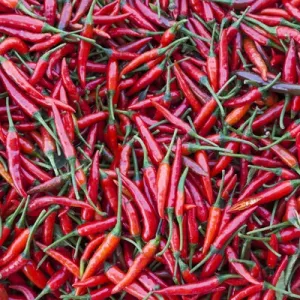 Vietnam, Dien Bien Phu, city market, chillies Vietnam, Dien Bien Phu, city market, chillies