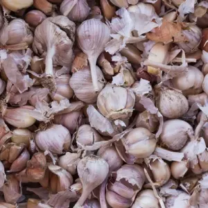 Vietnam, Dien Bien Phu, city market, garlic Vietnam, Dien Bien Phu, city market, garlic
