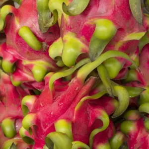 Vietnam, Hanoi, Old Quarter. Dragon fruit Vietnam, Hanoi, Old Quarter. Dragon fruit