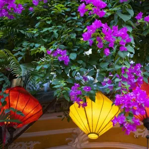 Vietnam. Hoi An silk lamps decorating throughout the city