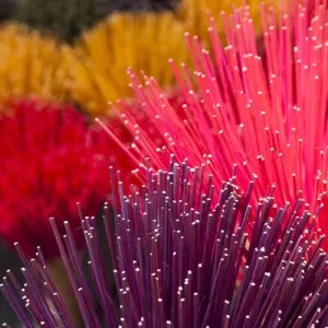Vietnam, Hue, arrangement of incense sticks Vietnam, Hue, arrangement of incense sticks