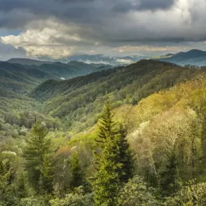 View of Deep Creek in early spring, Great Smoky Mountains National Park, North Carolina