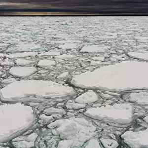A view of melting sea ice on the Arctic Ocean. North polar ice cap, Arctic Ocean