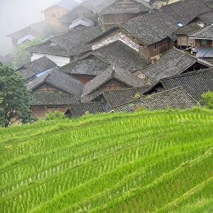 Village with rice terrace in the mountain in morning mist, Jiabang, Guizhou Province