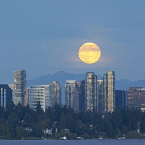 WA, Bellevue, Full moon raising over downtown skyline