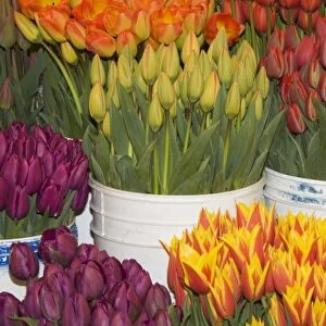 WA, Seattle, Pike Place Market, Fresh flowers for sale