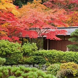 WA, Seattle, Washington Park Arboretum, Japanese Garden, tea house